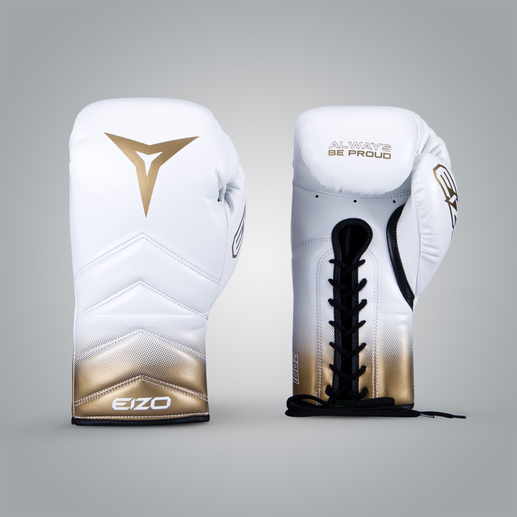 Guantes Pro Fight Eizo Eclipse